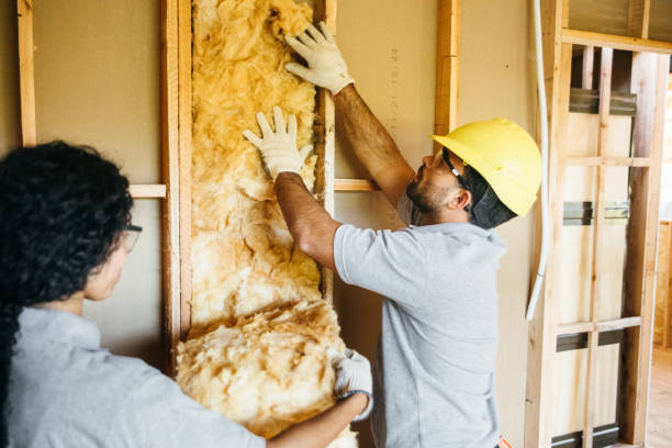 Best Eco-Friendly or Green Insulation Solutions  in USA